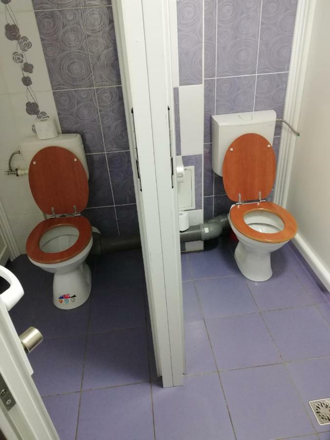 Pension, Camping & Biker Station Zur Deutschen Eiche Ciocanesti Bagian luar foto