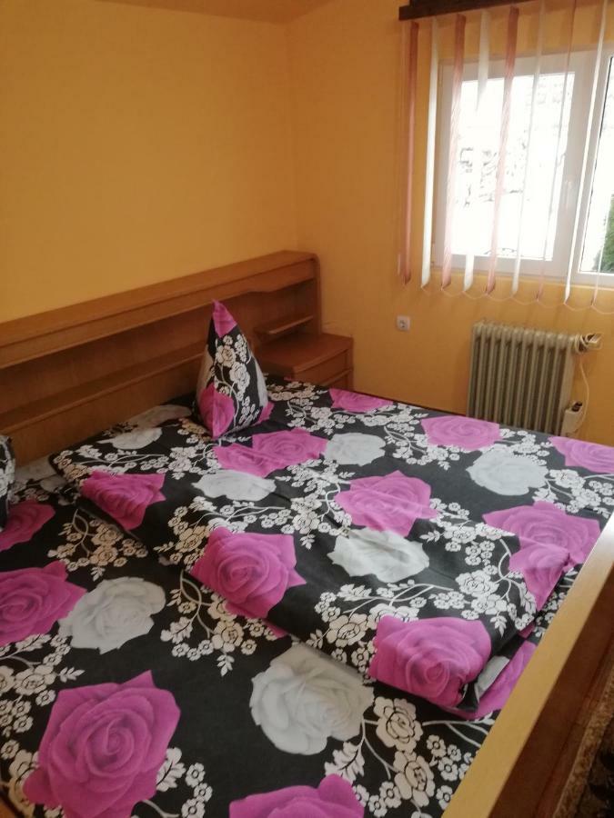 Pension, Camping & Biker Station Zur Deutschen Eiche Ciocanesti Bagian luar foto